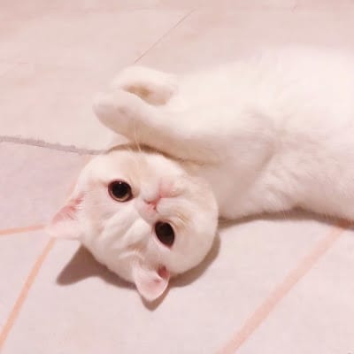 Lê Thị Cúc avatar